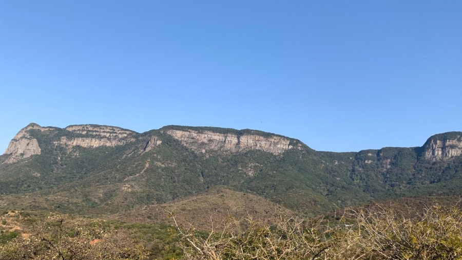 0 Bedroom Property for Sale in Canyon Game Reserve Limpopo