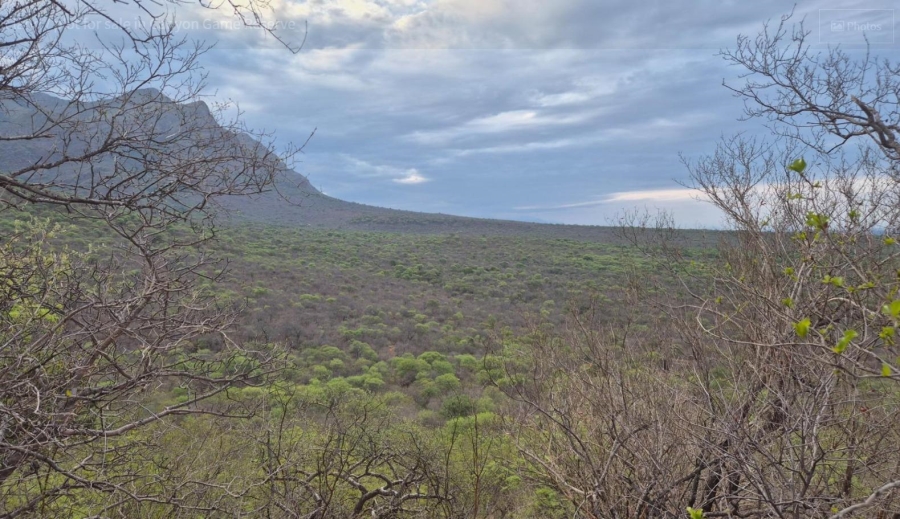 0 Bedroom Property for Sale in Canyon Game Reserve Limpopo