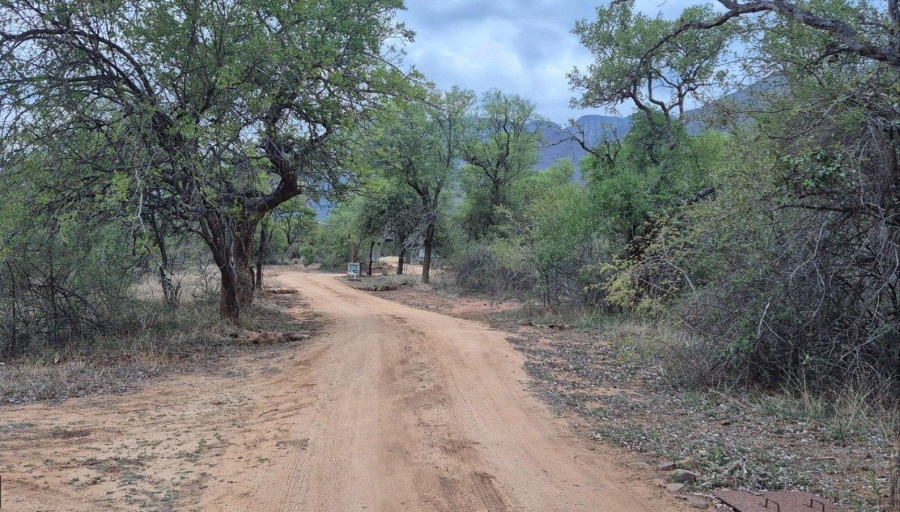 0 Bedroom Property for Sale in Canyon Game Reserve Limpopo