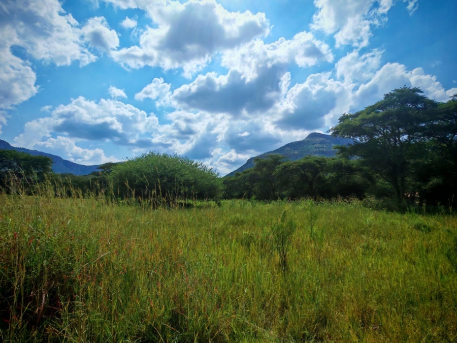 0 Bedroom Property for Sale in Burgersfort Limpopo