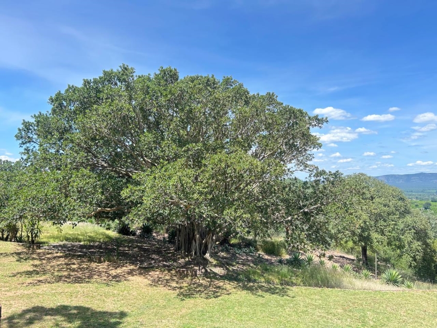 5 Bedroom Property for Sale in Tzaneen Rural Limpopo