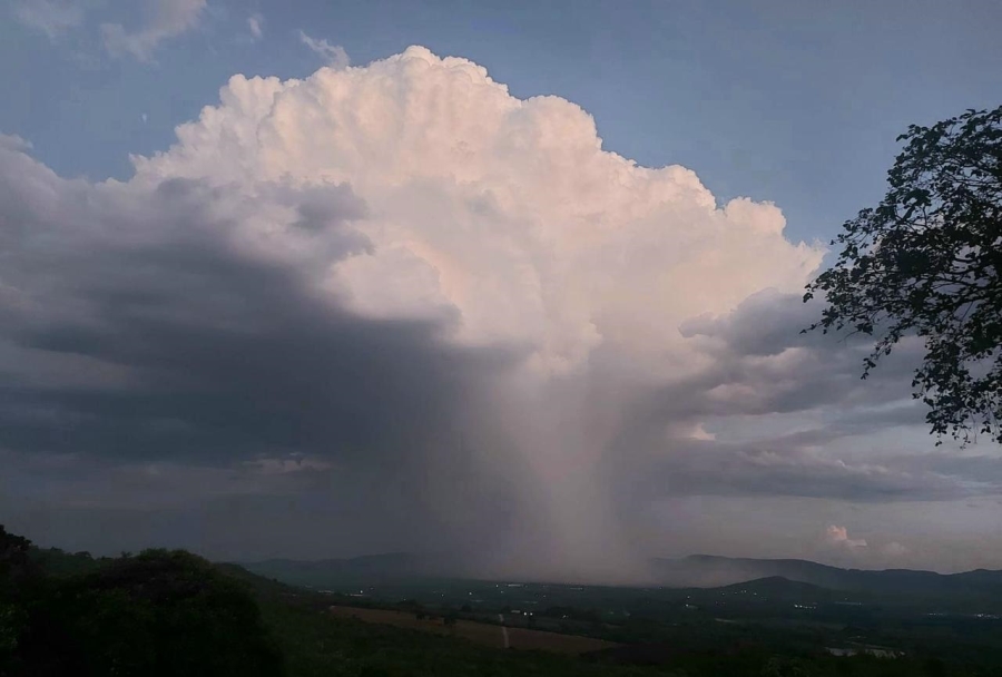 5 Bedroom Property for Sale in Tzaneen Rural Limpopo