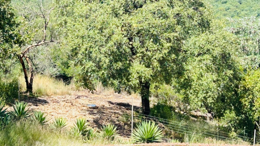 5 Bedroom Property for Sale in Tzaneen Rural Limpopo