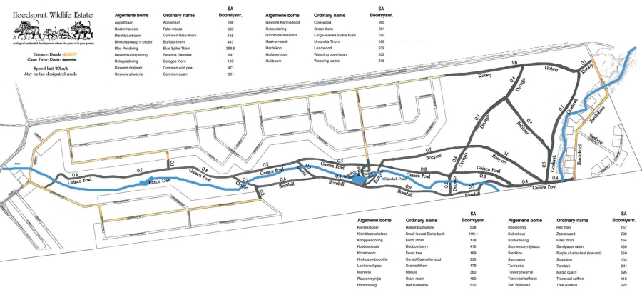 To Let 3 Bedroom Property for Rent in Hoedspruit Limpopo
