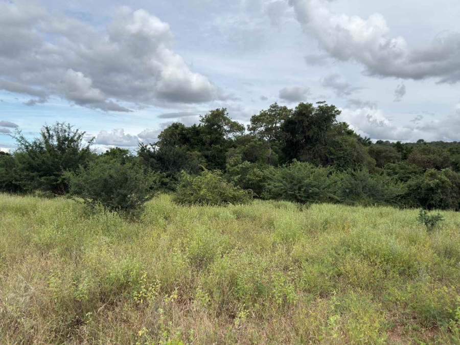 0 Bedroom Property for Sale in Elephant Rock Eco Estate Limpopo