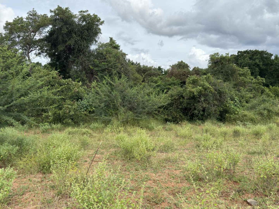 0 Bedroom Property for Sale in Elephant Rock Eco Estate Limpopo