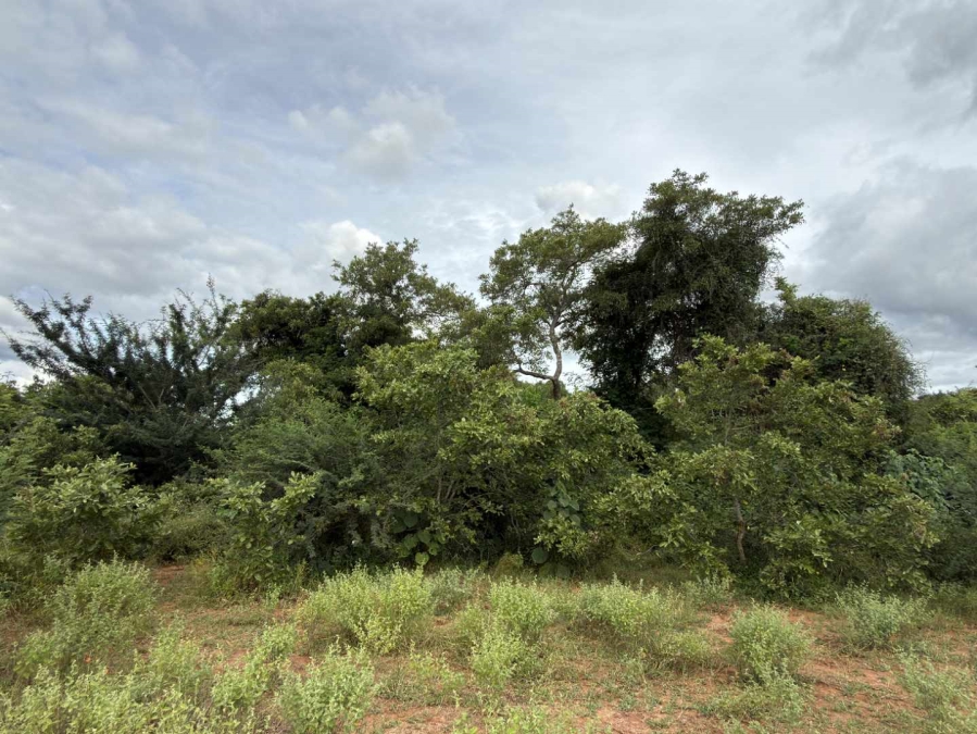 0 Bedroom Property for Sale in Elephant Rock Eco Estate Limpopo