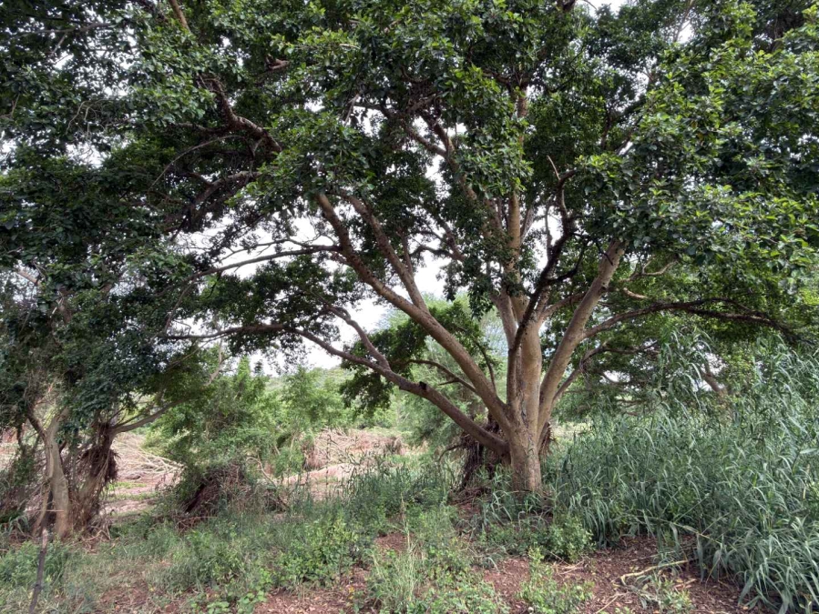 0 Bedroom Property for Sale in Elephant Rock Eco Estate Limpopo