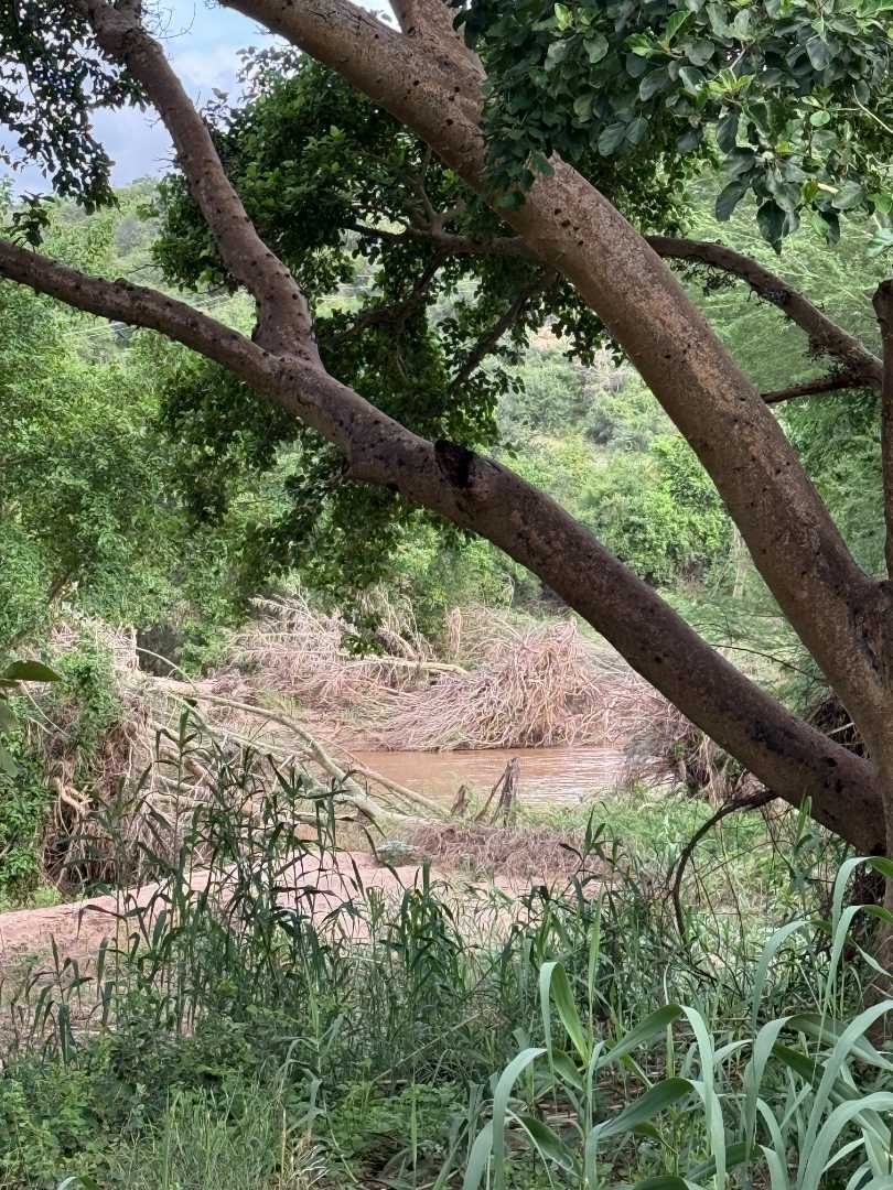 0 Bedroom Property for Sale in Elephant Rock Eco Estate Limpopo