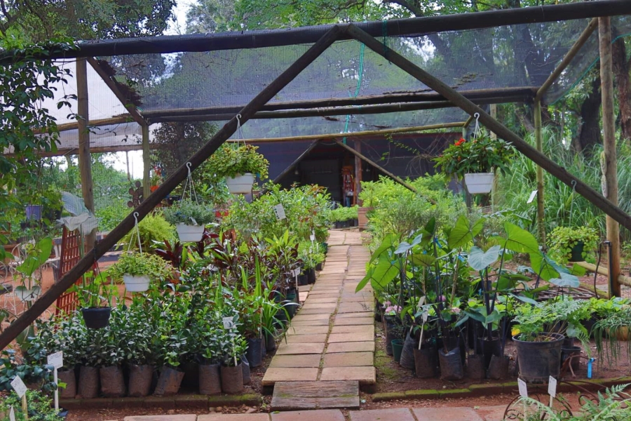 Commercial Property for Sale in Tzaneen Central Limpopo