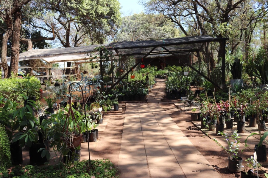 Commercial Property for Sale in Tzaneen Central Limpopo