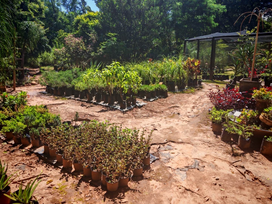 0 Bedroom Property for Sale in Tzaneen Central Limpopo