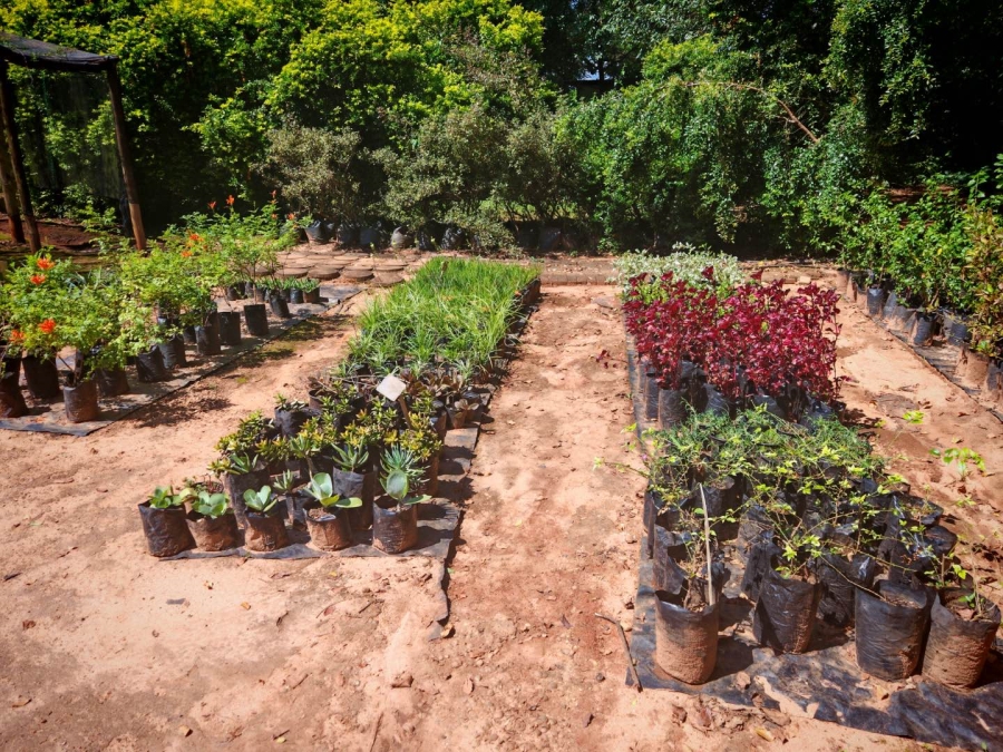 0 Bedroom Property for Sale in Tzaneen Central Limpopo