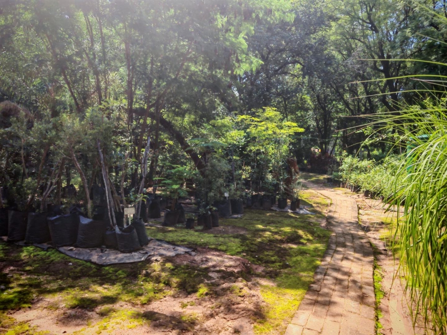 0 Bedroom Property for Sale in Tzaneen Central Limpopo