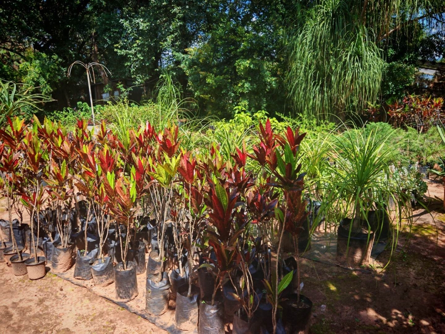 0 Bedroom Property for Sale in Tzaneen Central Limpopo