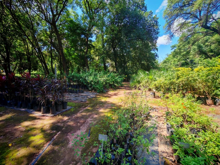 0 Bedroom Property for Sale in Tzaneen Central Limpopo