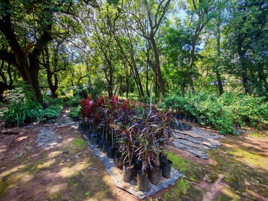 0 Bedroom Property for Sale in Tzaneen Central Limpopo