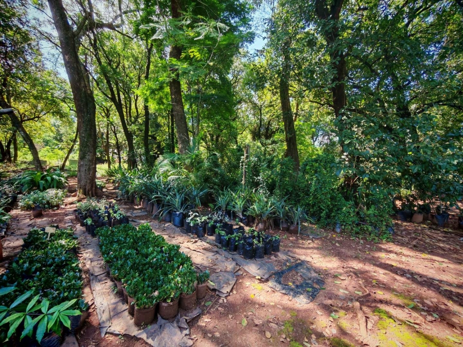 0 Bedroom Property for Sale in Tzaneen Central Limpopo