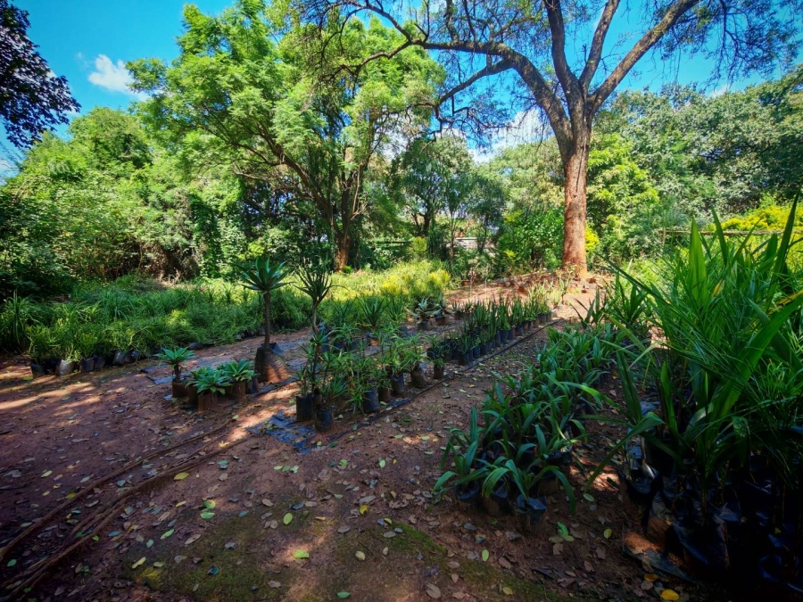 0 Bedroom Property for Sale in Tzaneen Central Limpopo