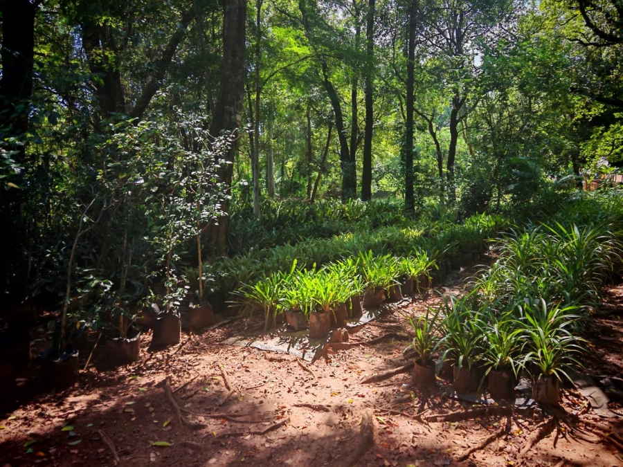 0 Bedroom Property for Sale in Tzaneen Central Limpopo