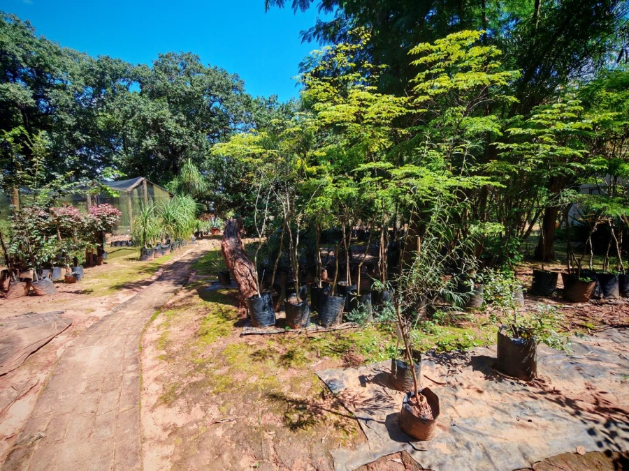 0 Bedroom Property for Sale in Tzaneen Central Limpopo