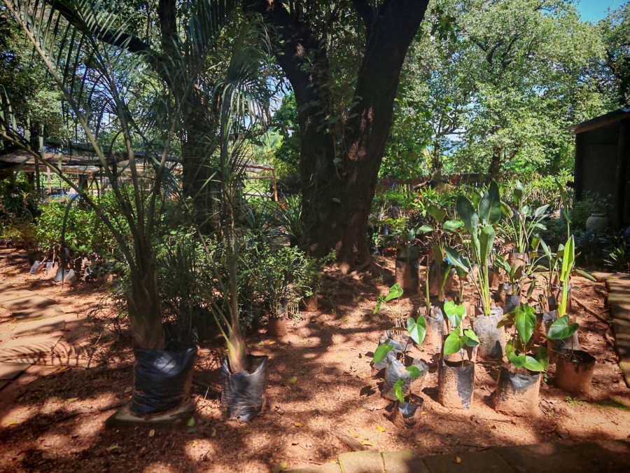 0 Bedroom Property for Sale in Tzaneen Central Limpopo