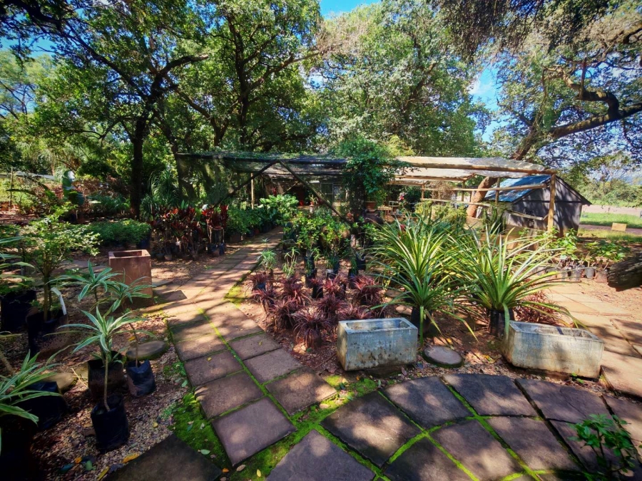 0 Bedroom Property for Sale in Tzaneen Central Limpopo