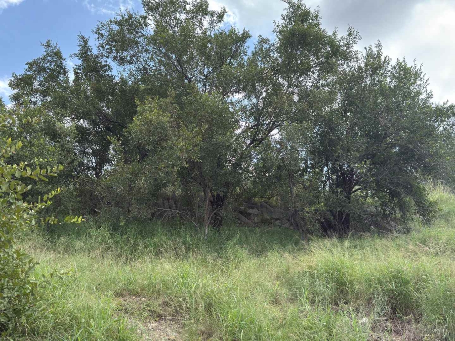 0 Bedroom Property for Sale in Mica Limpopo