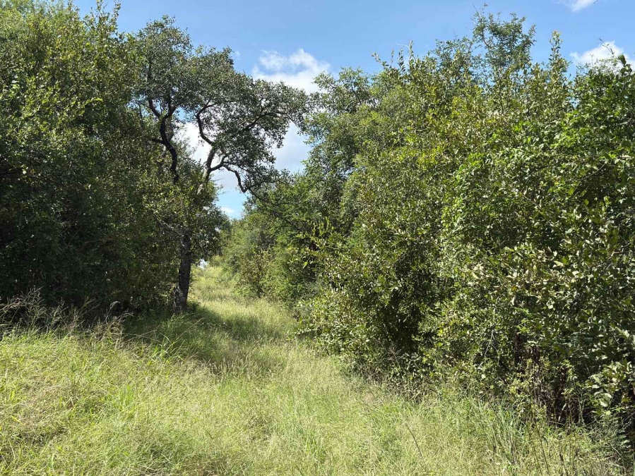 0 Bedroom Property for Sale in Mica Limpopo