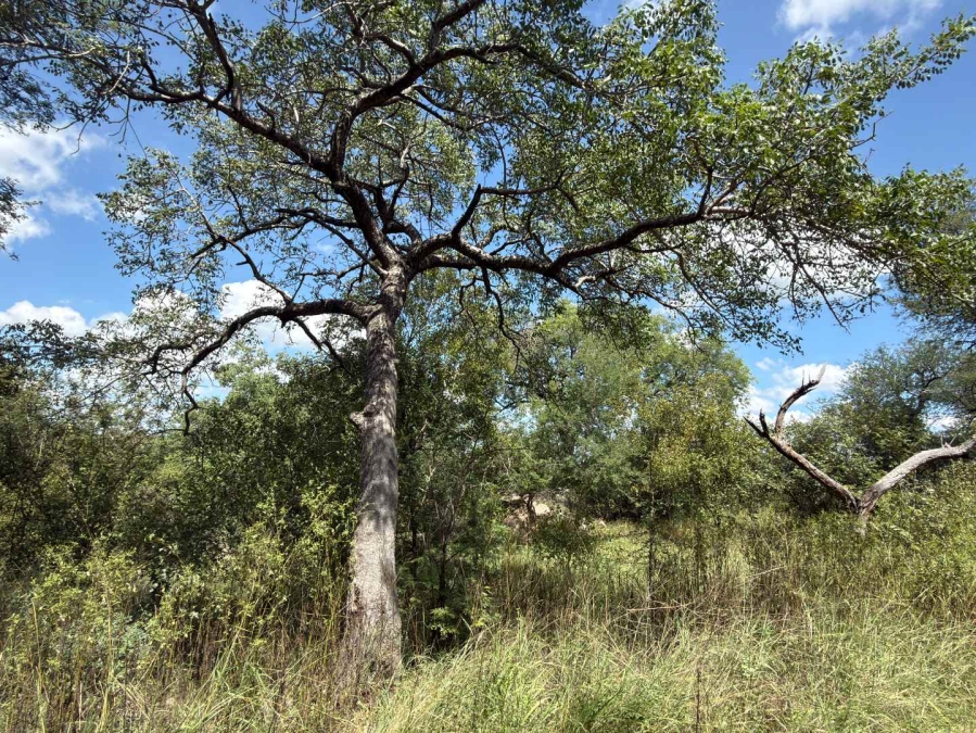 0 Bedroom Property for Sale in Mica Limpopo