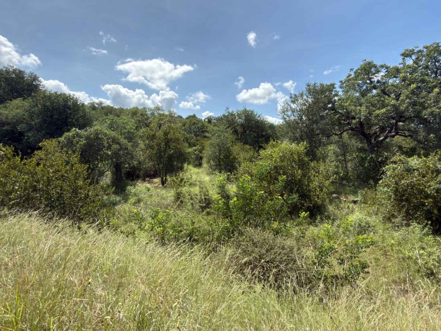 0 Bedroom Property for Sale in Mica Limpopo