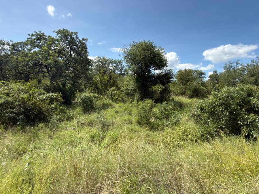 0 Bedroom Property for Sale in Mica Limpopo