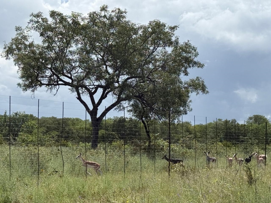 0 Bedroom Property for Sale in Mica Limpopo