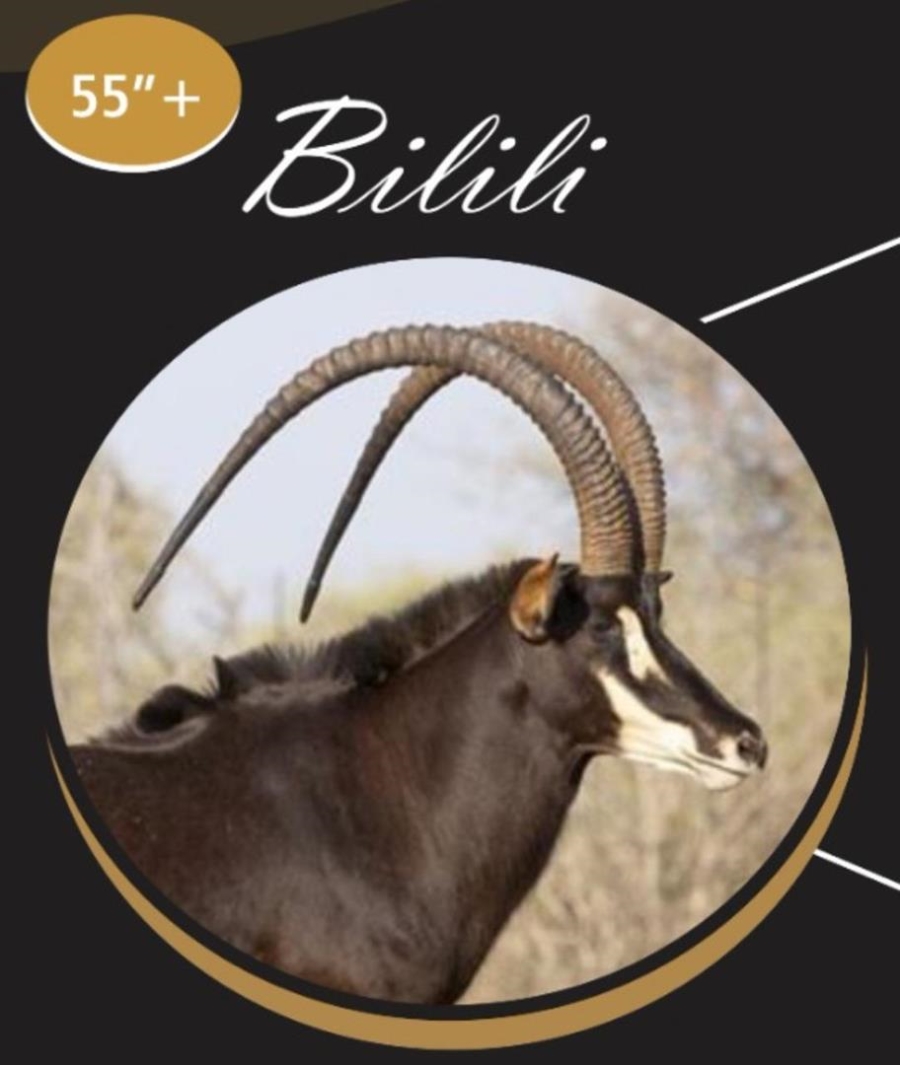 0 Bedroom Property for Sale in Mica Limpopo