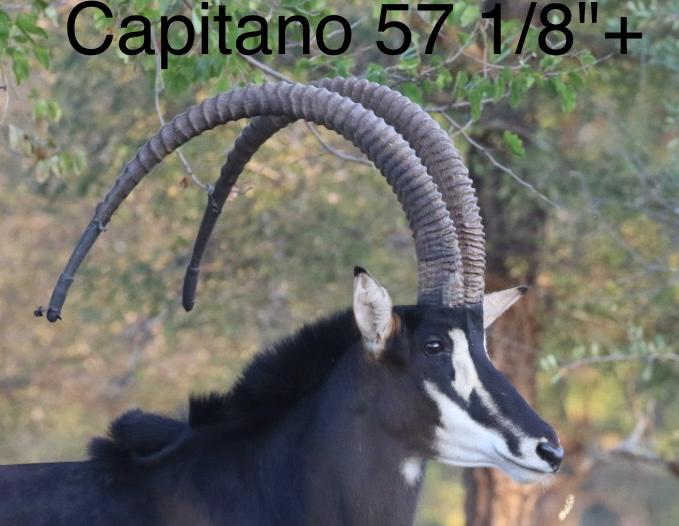 0 Bedroom Property for Sale in Mica Limpopo