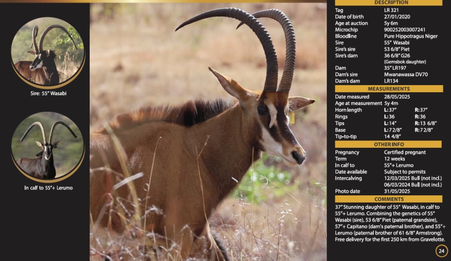 0 Bedroom Property for Sale in Mica Limpopo