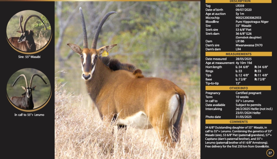 0 Bedroom Property for Sale in Mica Limpopo