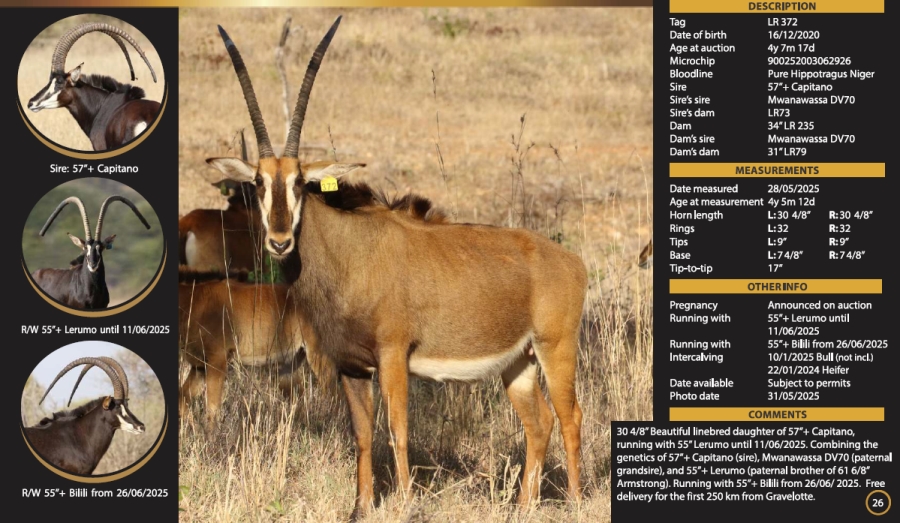 0 Bedroom Property for Sale in Mica Limpopo