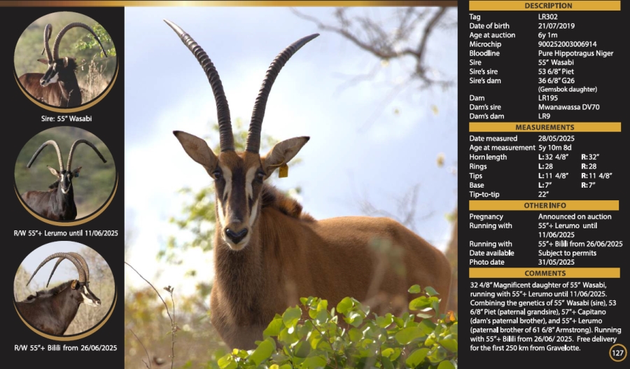 0 Bedroom Property for Sale in Mica Limpopo