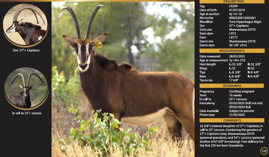 0 Bedroom Property for Sale in Mica Limpopo