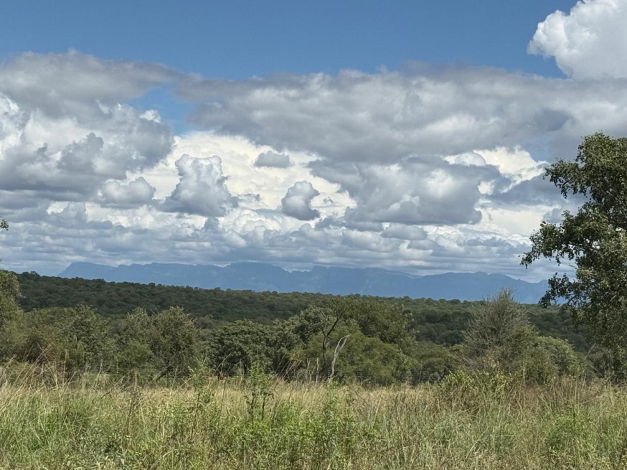 0 Bedroom Property for Sale in Mica Limpopo