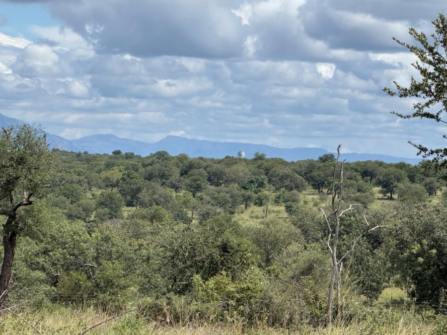 0 Bedroom Property for Sale in Mica Limpopo