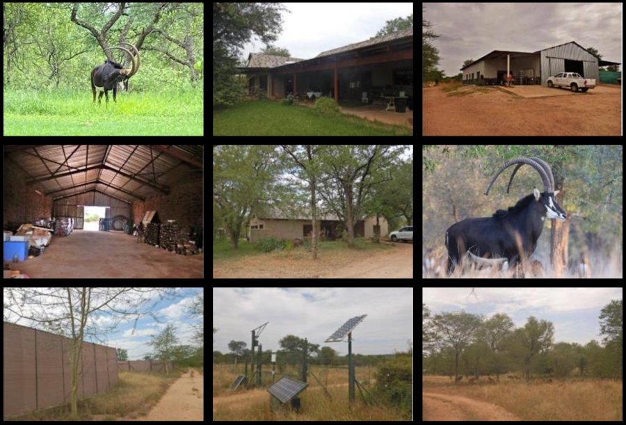 0 Bedroom Property for Sale in Mica Limpopo