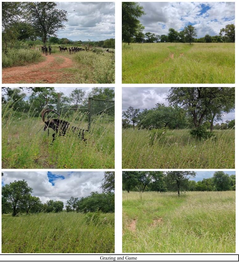 0 Bedroom Property for Sale in Mica Limpopo