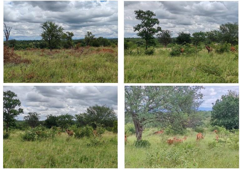 0 Bedroom Property for Sale in Mica Limpopo