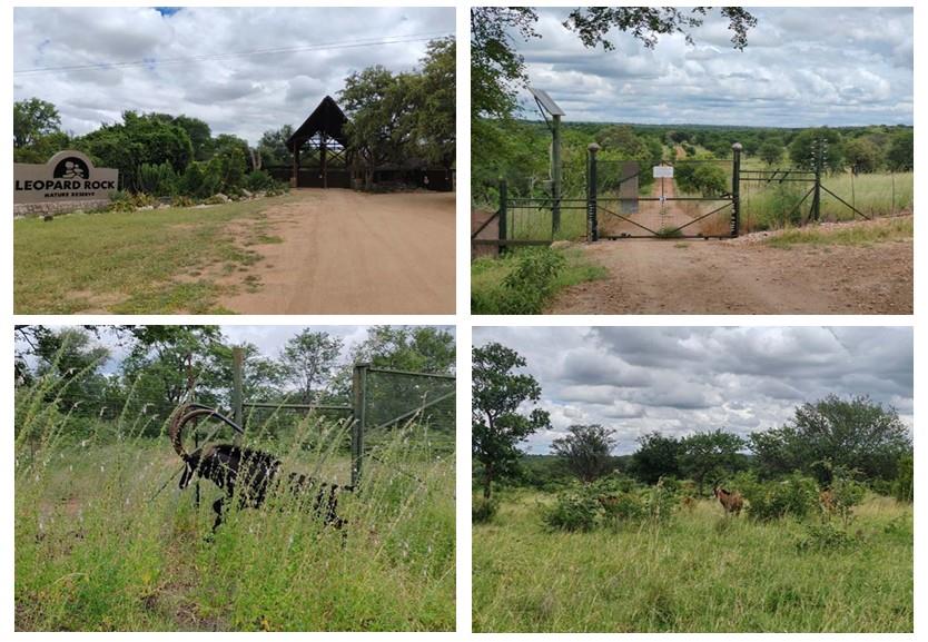 0 Bedroom Property for Sale in Mica Limpopo