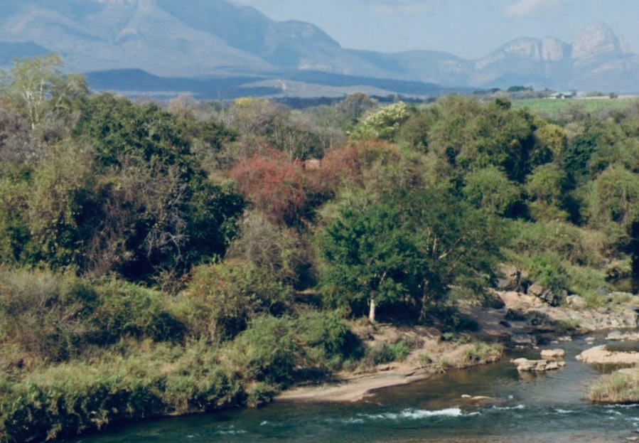 0 Bedroom Property for Sale in Hoedspruit Limpopo