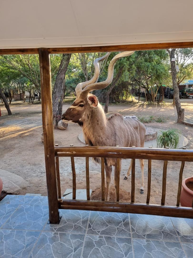 2 Bedroom Property for Sale in Leeupoort Limpopo