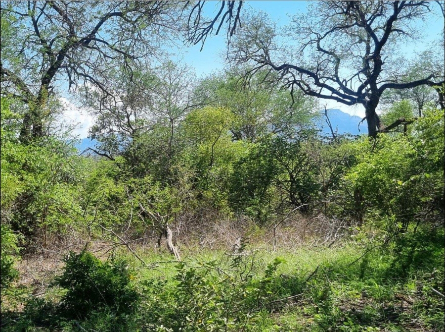 0 Bedroom Property for Sale in Moditlo Wildlife Estate Limpopo