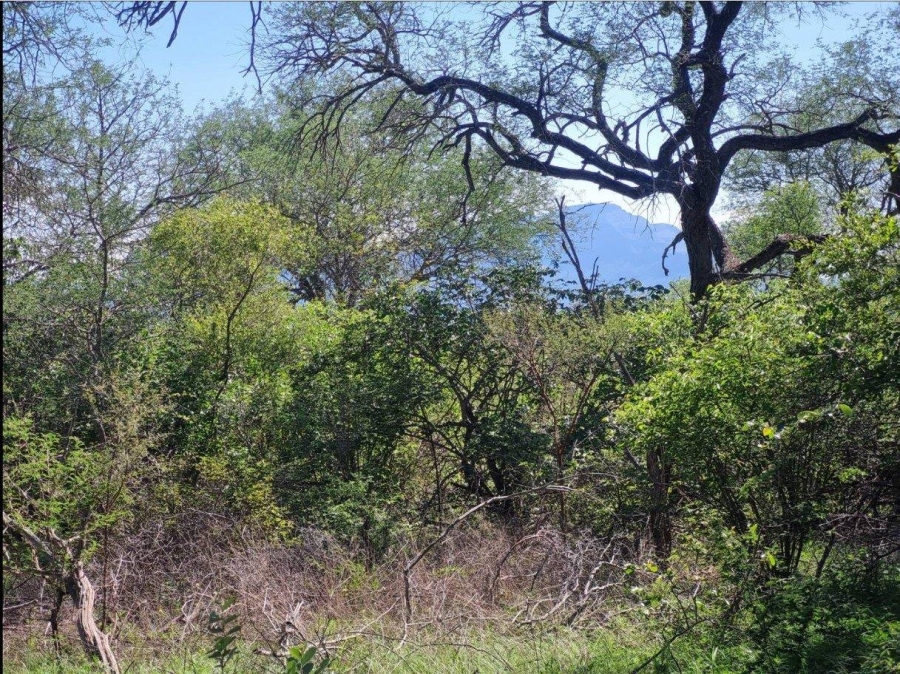 0 Bedroom Property for Sale in Moditlo Wildlife Estate Limpopo